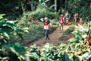 BIB: 
                            <button type="button" onclick="openModal(25849221)" class="btn btn-primary btn-sm float-right btn-popup" data-toggle="modal" data-target=".modal-high-quality">
                        <i class="fas fa-shopping-cart"></i> Add to Cart
                    </button>
                                            <button type="button" onclick="isThisMe(25849221, true)" class="btn btn-success btn-sm float-right btn-popup btn-isme hidden" data-toggle="tooltip" data-placement="bottom" title="นี่คือรูปของคุณใช่ไหม คลิกที่นี่เพื่อเอาเข้าอัลบั้ม">
                        <i class="fas fa-plus"></i> Add to album
                    </button>
                    <button type="button" onclick="isThisMe(25849221, false)" class="btn btn-warning btn-sm float-right btn-popup btn-isnotme hidden">
                        <i class="fas fa-ban"></i> Remove from album
                    </button>